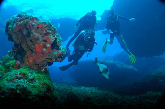 Explorações durante mergulho em Pedras Secas I, em Fernando de Noronha - PE (foto de Mateus Harfush - Ciliares)